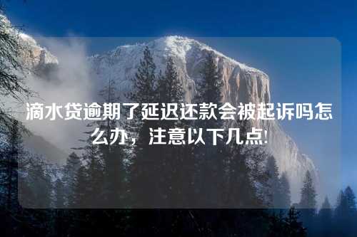 滴水贷逾期了延迟还款会被起诉吗怎么办，注意以下几点!