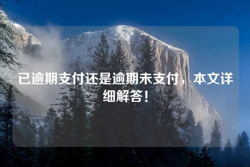 已逾期支付还是逾期未支付，本文详细解答！