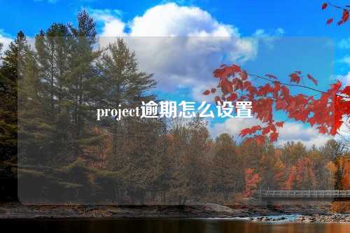 project逾期怎么设置