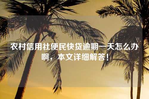 农村信用社便民快贷逾期一天怎么办啊，本文详细解答！