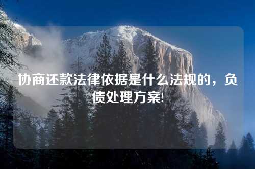 协商还款法律依据是什么法规的，负债处理方案!