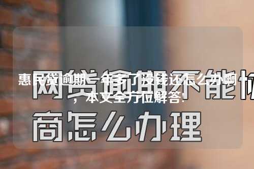 惠民贷逾期一年多了没钱还怎么办啊，本文全方位解答!