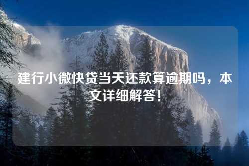 建行小微快贷当天还款算逾期吗，本文详细解答！