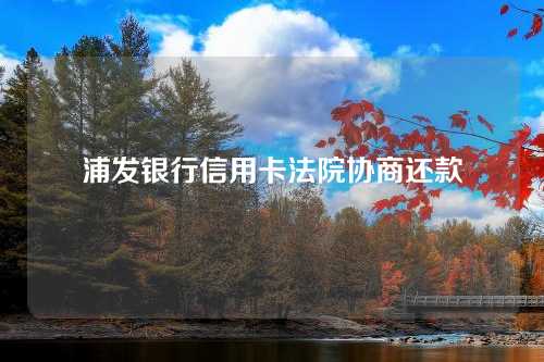 浦发银行信用卡法院协商还款