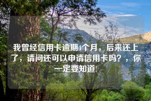 我曾经信用卡逾期4个月，后来还上了，请问还可以申请信用卡吗？，你一定要知道!