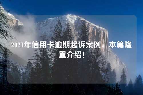 2021年信用卡逾期起诉案例，本篇隆重介绍！