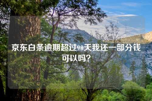 京东白条逾期超过90天我还一部分钱可以吗？