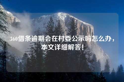 360借条逾期会在村委公示吗怎么办，本文详细解答！