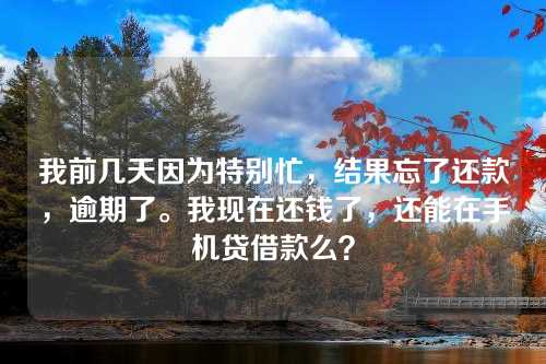 我前几天因为特别忙，结果忘了还款，逾期了。我现在还钱了，还能在手机贷借款么？