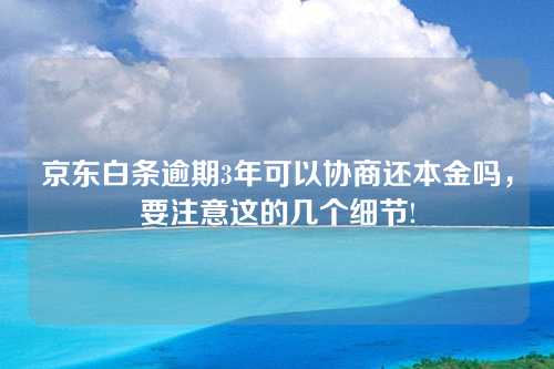 京东白条逾期3年可以协商还本金吗，要注意这的几个细节!