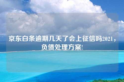 京东白条逾期几天了会上征信吗2021，负债处理方案!