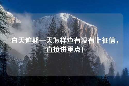 白天逾期一天怎样查有没有上征信，直接讲重点！