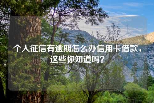 个人征信有逾期怎么办信用卡借款，这些你知道吗？