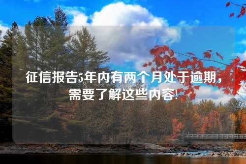 征信报告5年内有两个月处于逾期，需要了解这些内容!