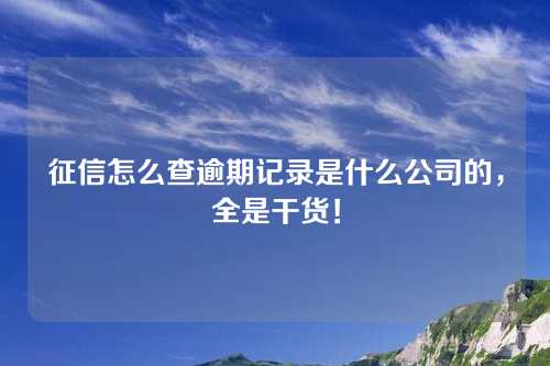 征信怎么查逾期记录是什么公司的，全是干货！