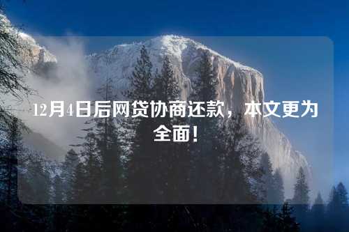 12月4日后网贷协商还款，本文更为全面！