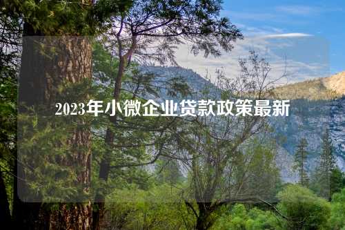 2023年小微企业贷款政策最新