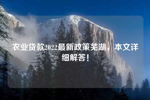 农业贷款2022最新政策芜湖，本文详细解答！