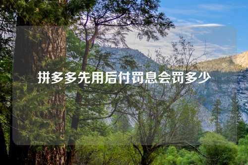 拼多多先用后付罚息会罚多少