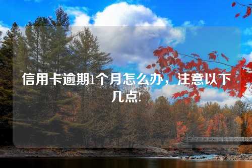 信用卡逾期1个月怎么办，注意以下几点!