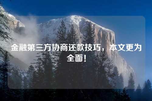 金融第三方协商还款技巧，本文更为全面！