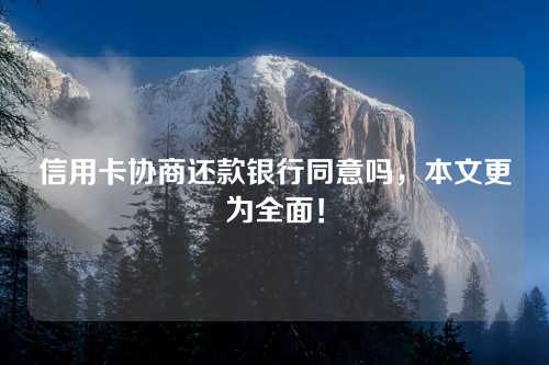 信用卡协商还款银行同意吗，本文更为全面！