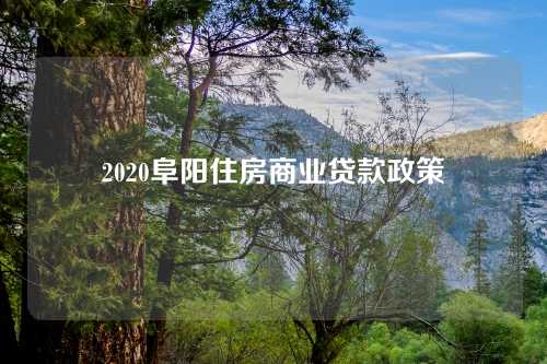 2020阜阳住房商业贷款政策