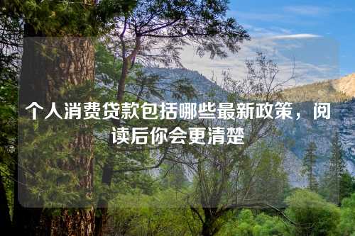 个人消费贷款包括哪些最新政策，阅读后你会更清楚