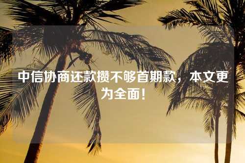 中信协商还款攒不够首期款，本文更为全面！