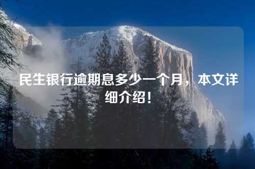 民生银行逾期息多少一个月，本文详细介绍！