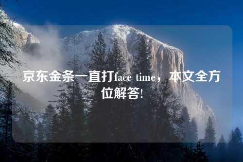 京东金条一直打face time，本文全方位解答!