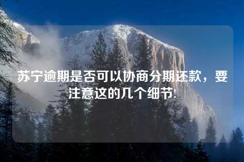 苏宁逾期是否可以协商分期还款，要注意这的几个细节!