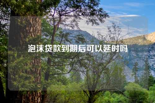 泡沫贷款到期后可以延时吗