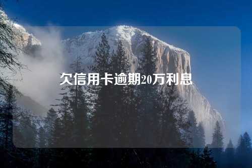 欠信用卡逾期20万利息