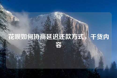 花呗如何协商延迟还款方式，干货内容