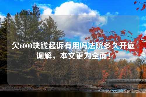 欠6000块钱起诉有用吗法院多久开庭调解，本文更为全面！