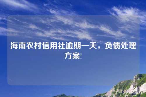 海南农村信用社逾期一天，负债处理方案!