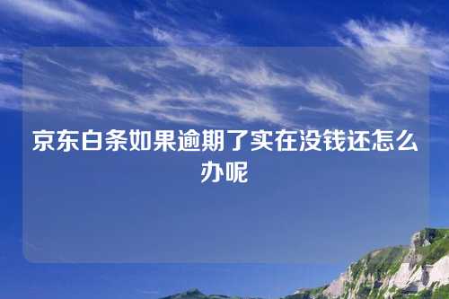 京东白条如果逾期了实在没钱还怎么办呢