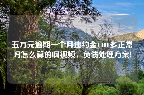 五万元逾期一个月违约金1000多正常吗怎么算的啊视频，负债处理方案!