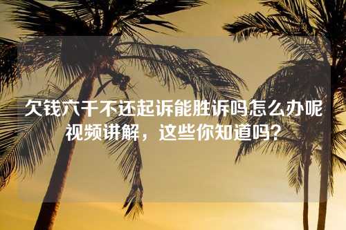 欠钱六千不还起诉能胜诉吗怎么办呢视频讲解，这些你知道吗？