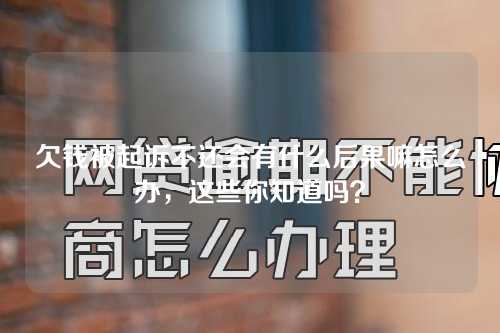 欠钱被起诉不还会有什么后果嘛怎么办，这些你知道吗？