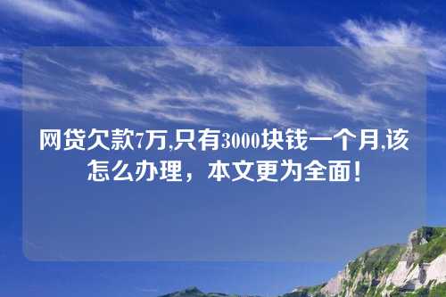 网贷欠款7万,只有3000块钱一个月,该怎么办理，本文更为全面！