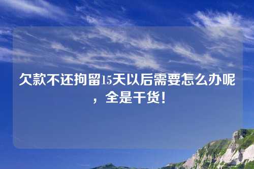 欠款不还拘留15天以后需要怎么办呢，全是干货！