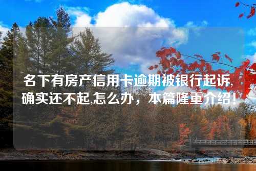 名下有房产信用卡逾期被银行起诉,确实还不起,怎么办，本篇隆重介绍！