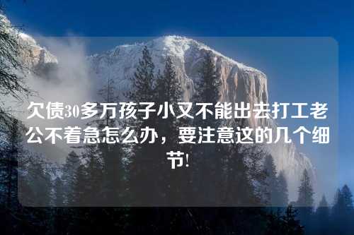 欠债30多万孩子小又不能出去打工老公不着急怎么办，要注意这的几个细节!