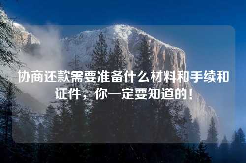 协商还款需要准备什么材料和手续和证件，你一定要知道的！