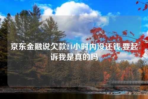 京东金融说欠款24小时内没还钱,要起诉我是真的吗