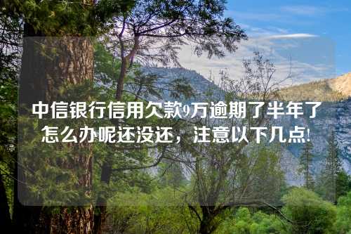 中信银行信用欠款9万逾期了半年了怎么办呢还没还，注意以下几点!