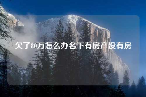 欠了80万怎么办名下有房产没有房