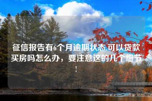 征信报告有6个月逾期状态,可以贷款买房吗怎么办，要注意这的几个细节!